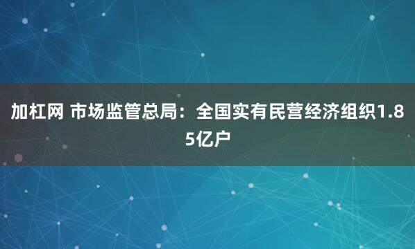 加杠网 市场监管总局：全国实有民营经济组织1.85亿户